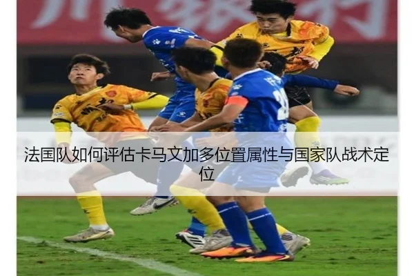 法国队如何评估卡马文加多位置属性与国家队战术定位